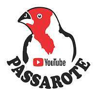 Passarote