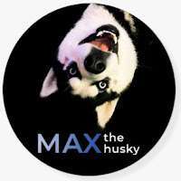 Max the Husky the talking dog