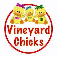 Vineyard Chicks