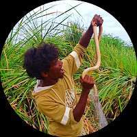 Adventures Of Venu